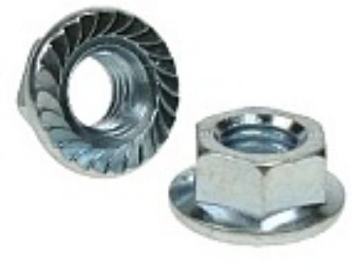 Picture of M5 Flanged Nut Serrated DIN 6923 Grade 8 BZP